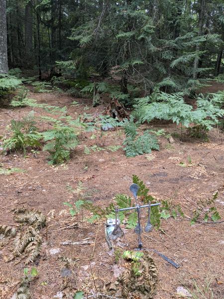Shooting targets at Camp Atwood.