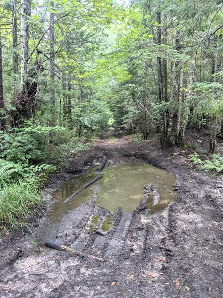 One of the mudholes (probably where Ted's truck got stuck).
