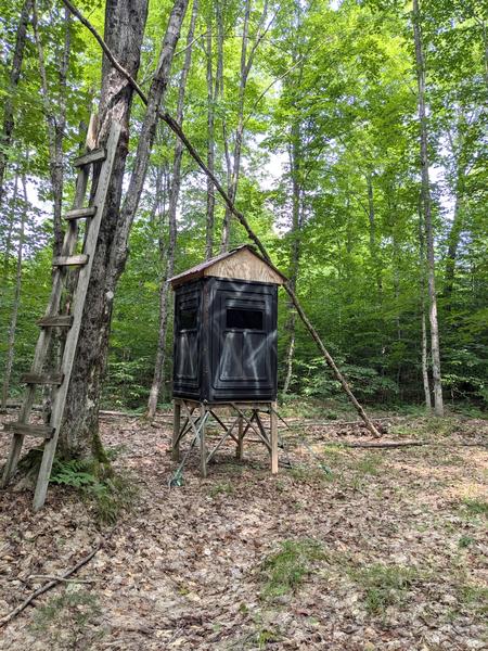 Deer blind near Camp Harding.
