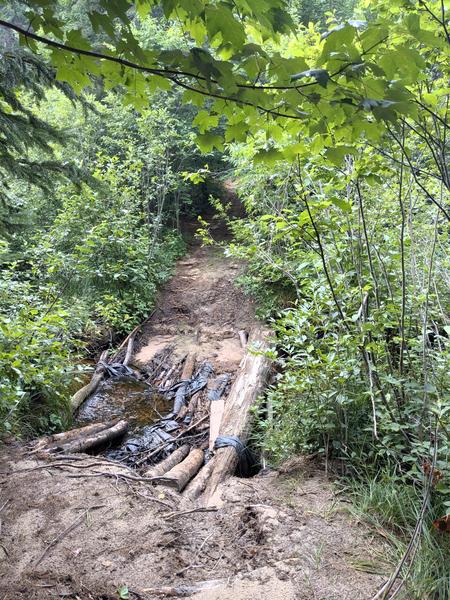 "Bridge" across Potter Creek on the trail to the Barfield Lakes.