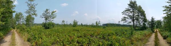 Panorama of area north of the Barfield Lakes on the main road in from H58.