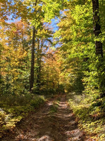 Old 443 in the fall with a deer in the distance.