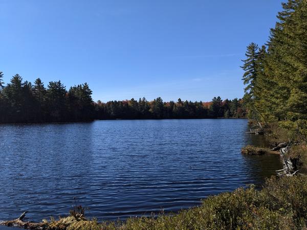 Small lake in the woods. A great place to stop for lunch.