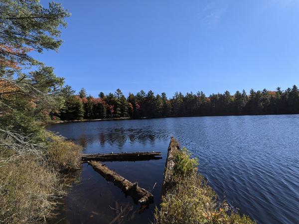 Small lake in the woods. Where I stopped for lunch.