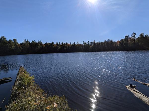 Small lake in the woods. Where I stopped for lunch.