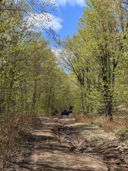 Some of the ATV's on the trails.