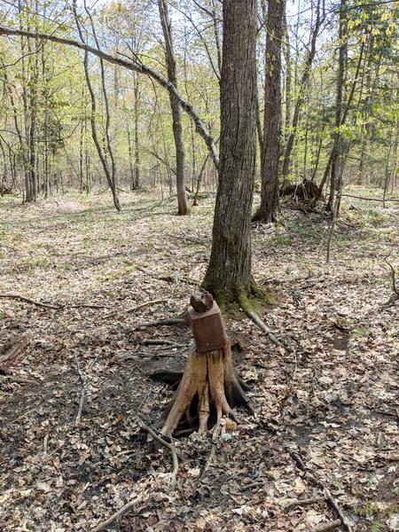 The "sculpure" in the woods. Still there, still don't know what it is.