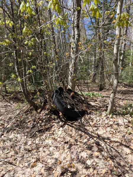 Another random tire in the woods.
