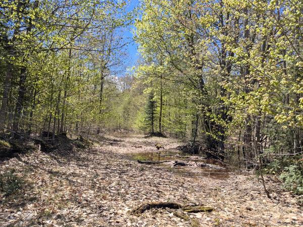 What the road mostly looks like.