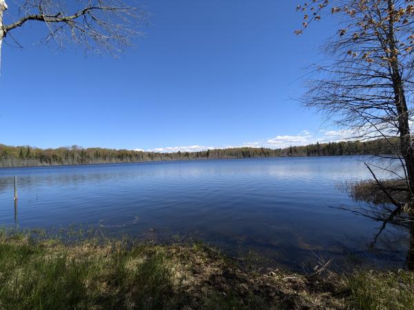 View of Mitchell Lake from the camp.