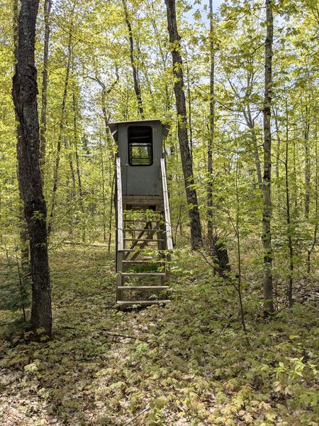 Inside of deer blind for Wolf Camp, there is a propane tank in the background.