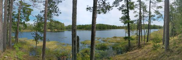 Panorama of one of the Barfield Lakes.