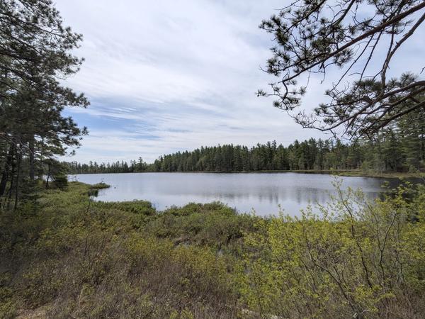 One of the Barfield Lakes.